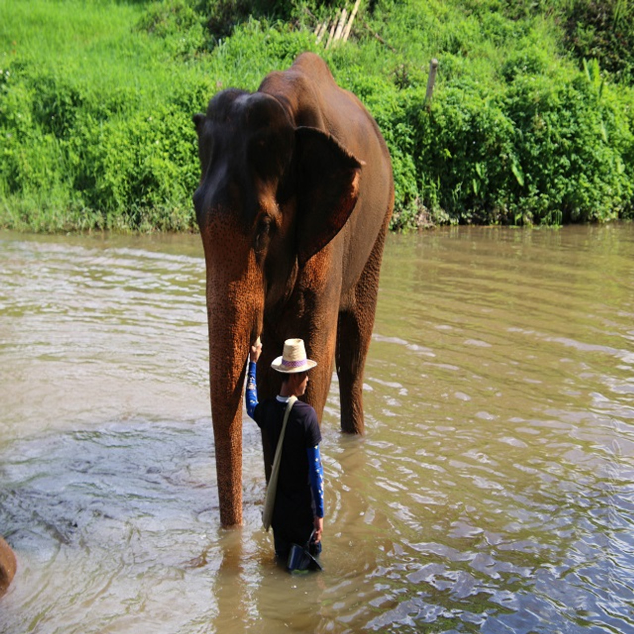 Petualangan Naik Tuk-Tuk