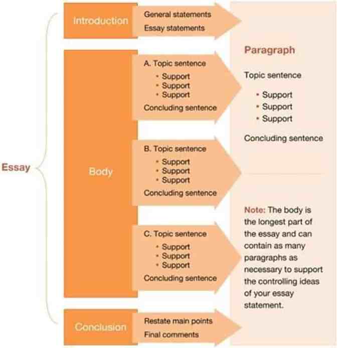 Essay write tips writing essays stages infographics comments school process college high right skills written visit report