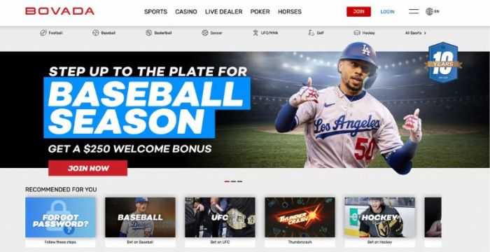 Panduan Taruhan Olahraga MLB NBA